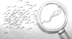 试管婴儿中是如何选择精子的？