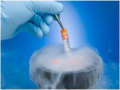 泰国试管婴儿冻胚解冻后影响移植成功率吗