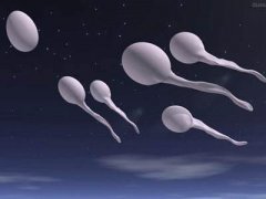 试管婴儿：精子畸形，孩子会不会也是畸形呢？