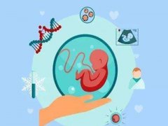 什么因素会影响试管婴儿囊胚的发育呢?