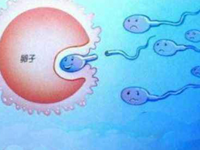 试管婴儿胚胎移植后有哪些注意事项呢